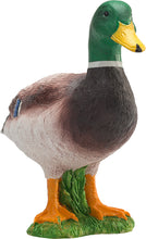 Load image into Gallery viewer, Animal Planet Mallard Duck Male