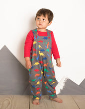 Load image into Gallery viewer, Dinosaur Print Dungarees