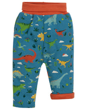 Load image into Gallery viewer, Rory Reversible Pull Ups - Jurassic Lands