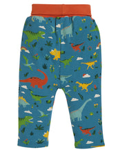 Load image into Gallery viewer, Rory Reversible Pull Ups - Jurassic Lands