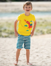 Load image into Gallery viewer, Stripy Shorts - Steely Blue Stripe