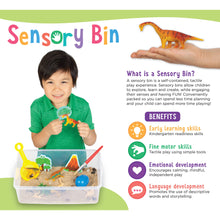 Load image into Gallery viewer, Themed Sensory Bins

