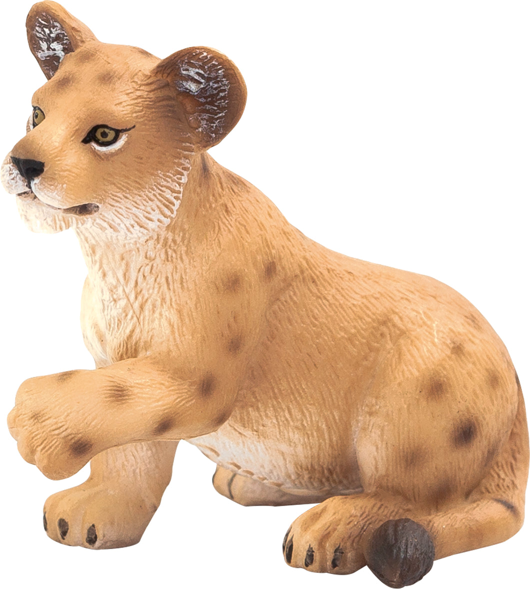 Animal Planet Lion Cub Playing