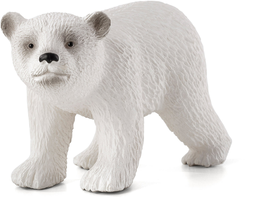 Animal Planet Polar Bear Cub Walking