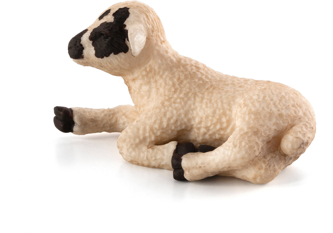 Animal Planet Black Faced Lamb Lying down
