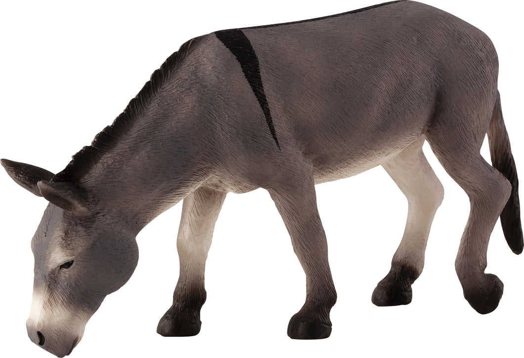Animal Planet Donkey Feeding