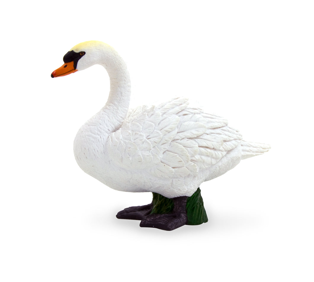 Animal Planet Mute Swan