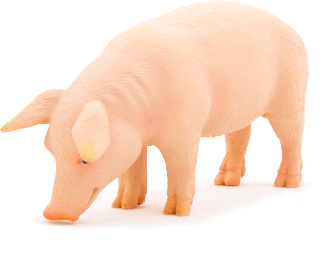 Animal Planet Pig (Boar)
