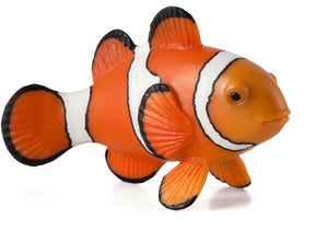 Animal Planet Clown Fish