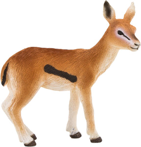 Animal Planet Thomson's Gazelle Fawn