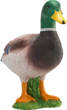 Load image into Gallery viewer, Animal Planet Mallard Duck Male
