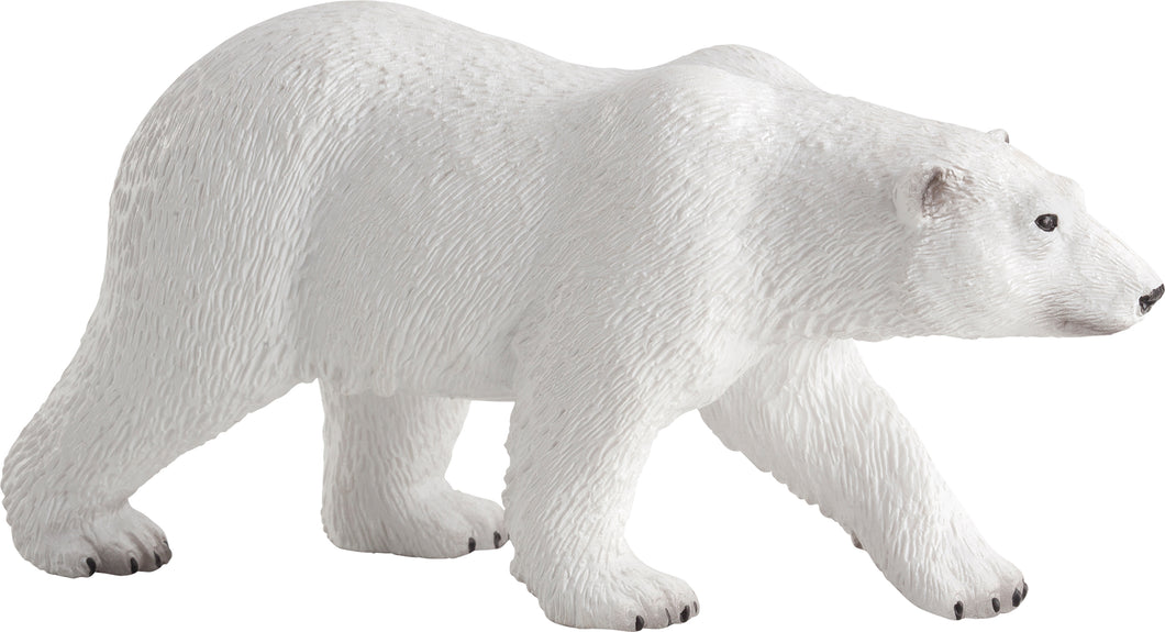 Animal Planet Polar Bear