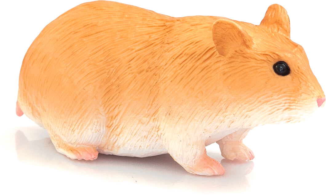 Animal Planet Hamster