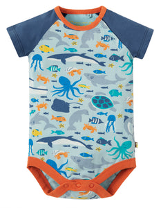 Reggie Raglan Body - Marine Life