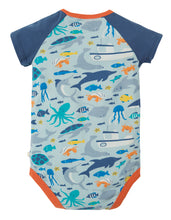 Load image into Gallery viewer, Reggie Raglan Body - Marine Life
