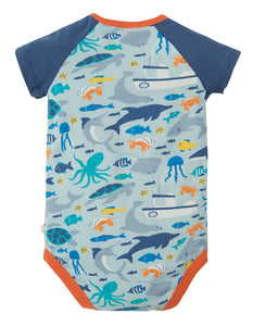 Reggie Raglan Body - Marine Life