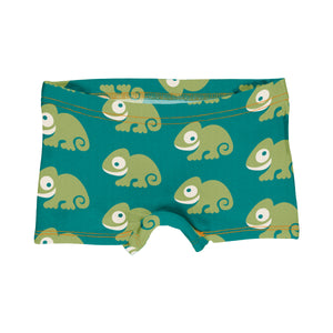Chameleon Boxer Briefs