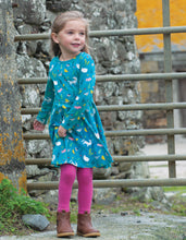 Load image into Gallery viewer, Sofia Skater Dress -  Farmyard

