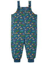 Load image into Gallery viewer, Parsnip Dungaree - Bug Life
