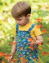 Load image into Gallery viewer, Parsnip Dungaree - Bug Life
