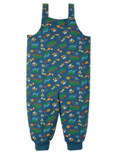 Load image into Gallery viewer, Parsnip Dungaree - Bug Life
