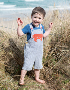 Godrevy Dungaree - Seersucker/Crab