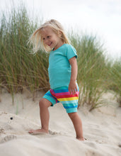 Load image into Gallery viewer, Shallot Shorts - Flamingo Multi Stripe
