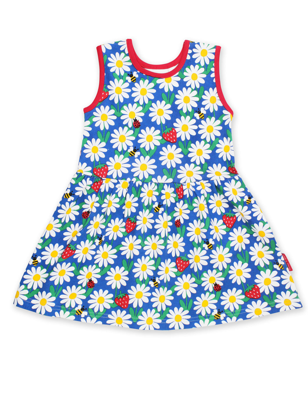 Blue Daisy Print Summer Dress