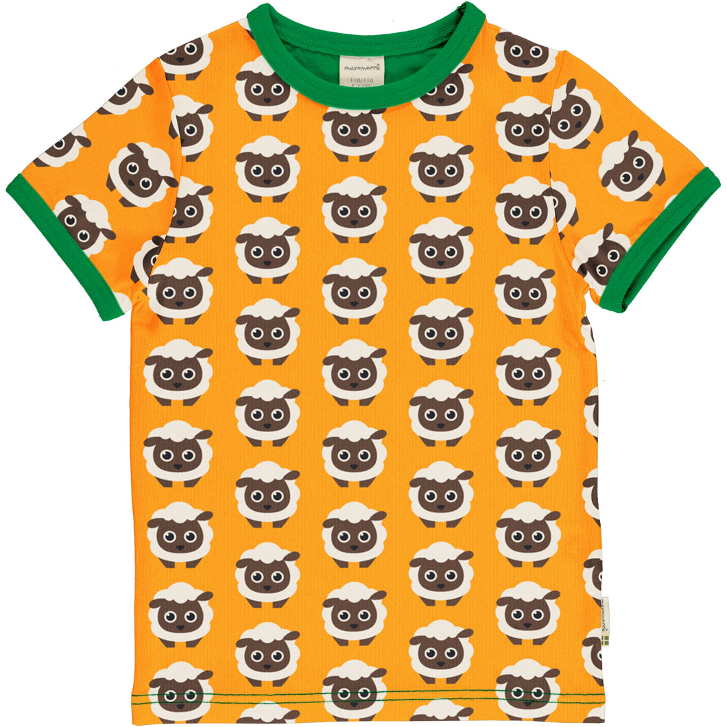 Classic Sheep SS Top