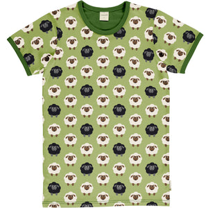 Sheep Adult SS Top