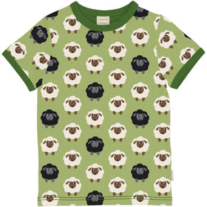 Sheep SS Top