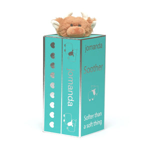 Toy Soother Gift Box